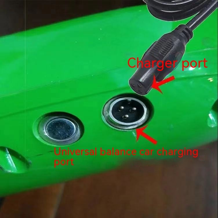 Universal Charger For Electric Balance Car