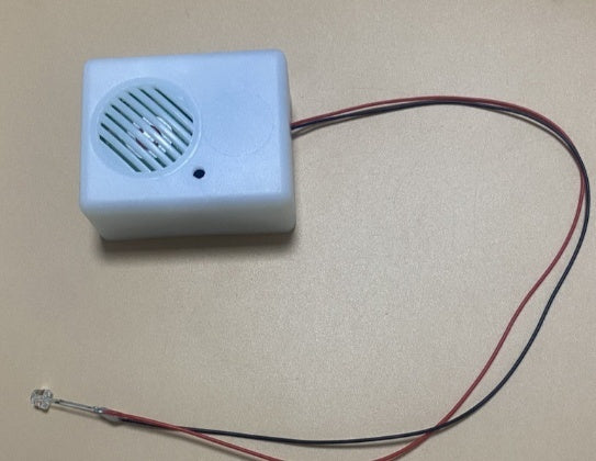 Halloween Ghost Name Sound Emitting Box